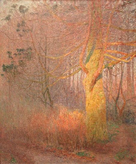 Emile Claus Tree in the Sun china oil painting image